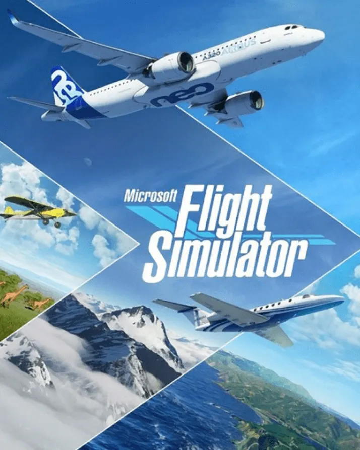 Microsoft Flight Simulator