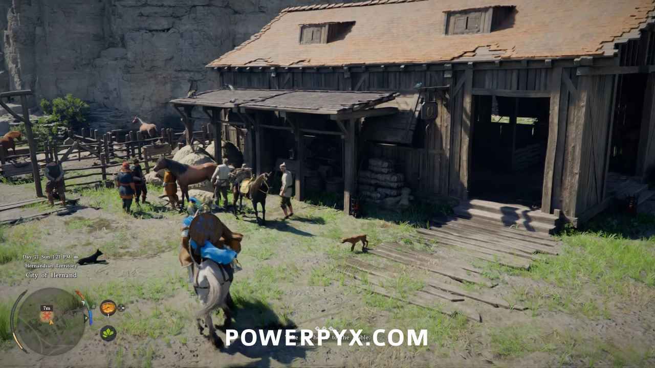 Ecurie et gestion des chevaux Crimson Desert