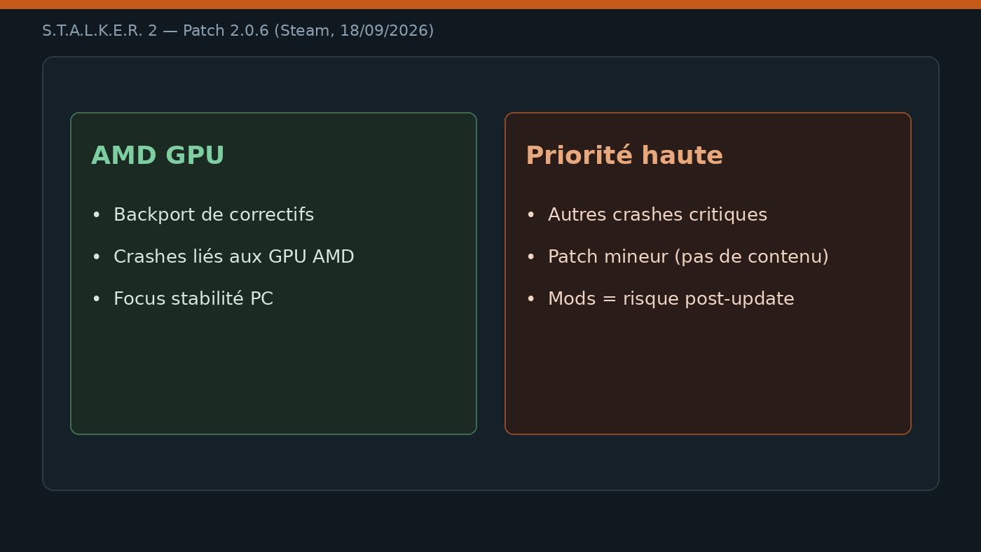Contenu du patch 2.0.6 : correctifs AMD GPU et crashes prioritaires